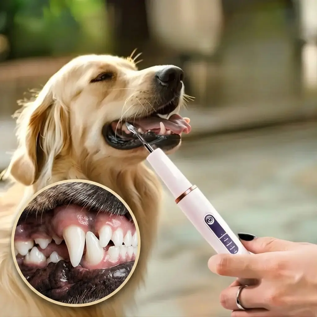 Ultrasonic Dog Tartar Remover & Teeth Cleaning Kit