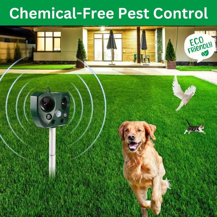 Ultrasonic Bird & Pest Defender protecting a garden