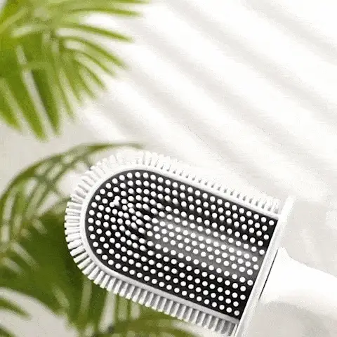 Demonstration of toilet cleaning