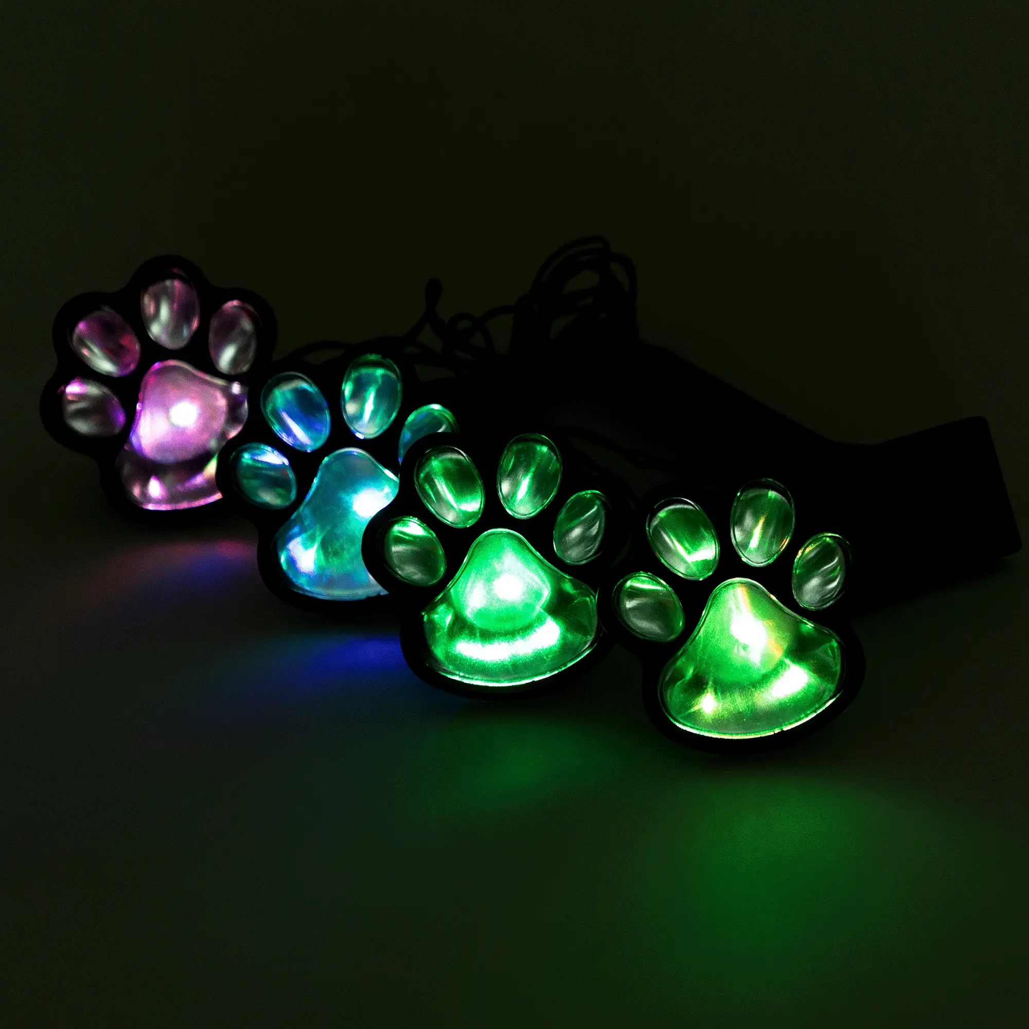 Paw Print Solar Ground Lights – Set of 4 product view