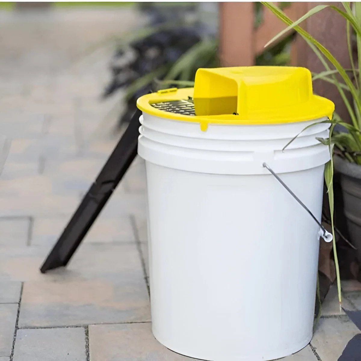 Smart Mouse Trap | Hands-Free, Safe for Families & Pets, Multiple Capture Design for Effective Rodent Control