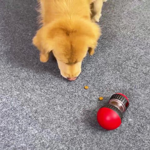 Interactive dog puzzle toy