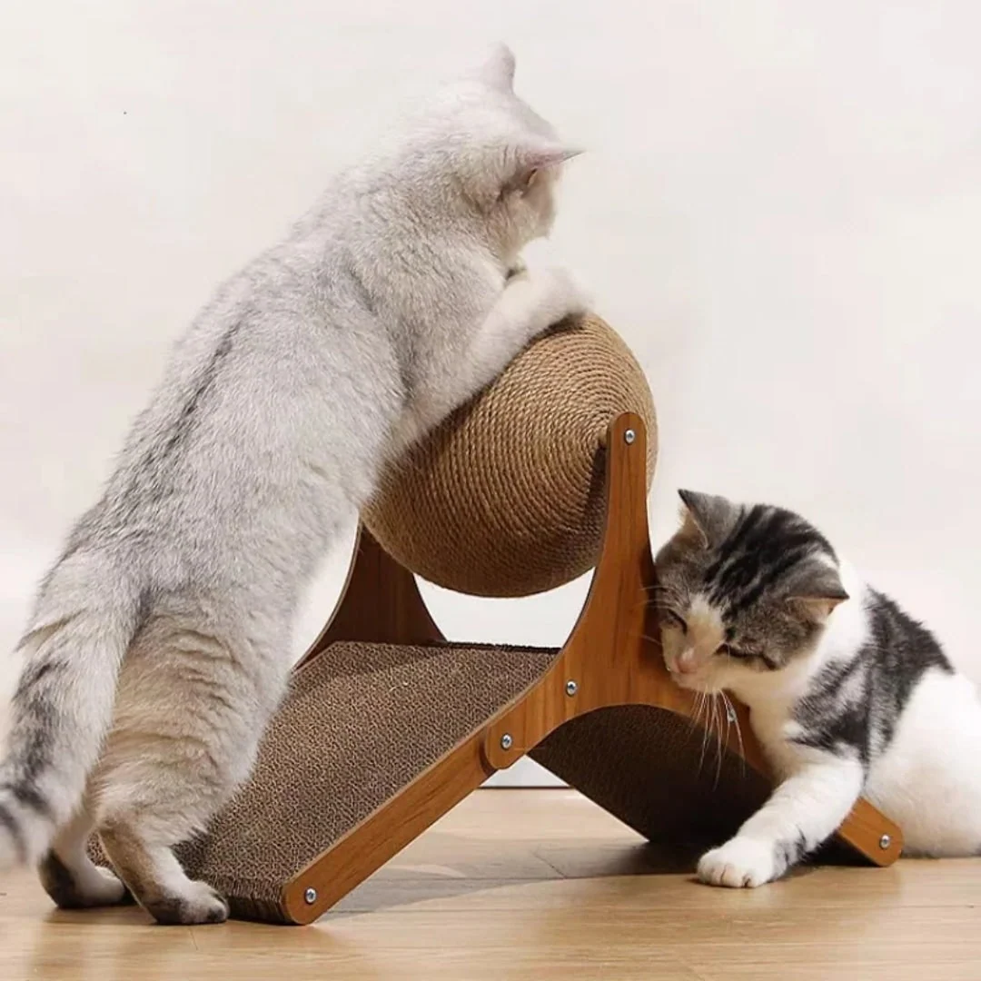 Pets