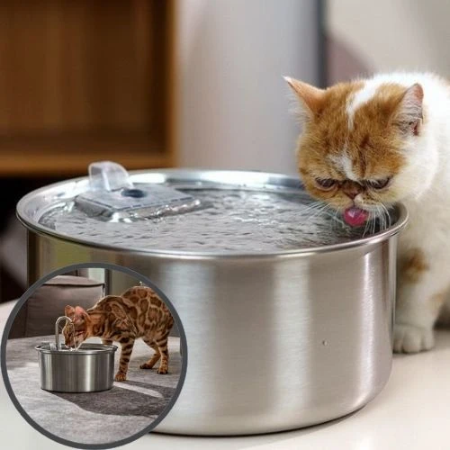 cat-water-fountain-regular-hydration