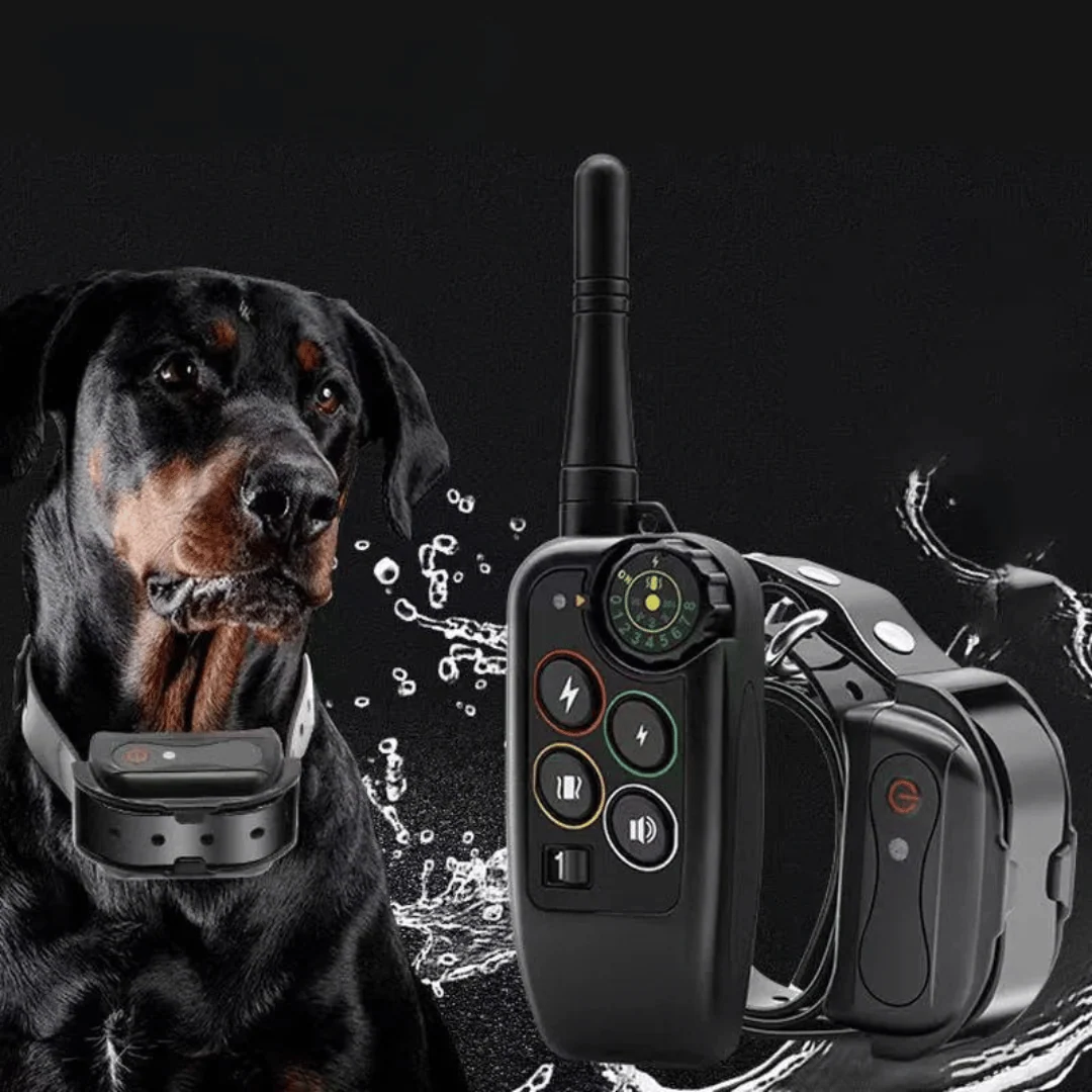 Dog Training E-Collar with Long Range Remote in use