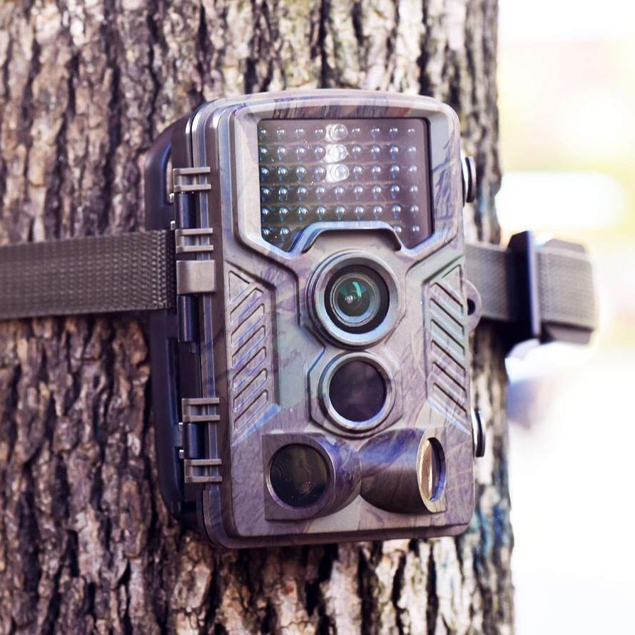 Official Trail Wildlife Camera™ - Capture Every Movement!