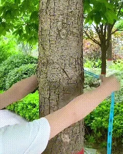 Portable Windproof Clothesline for Outdoor and Home Use additional view