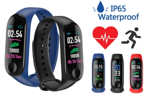 pedometer