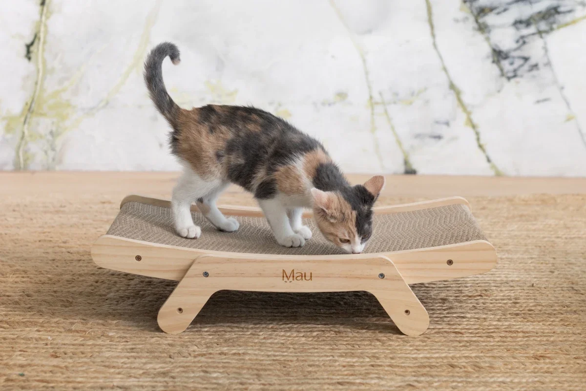 Modern Cat Scratcher – Cardboard Lounger with Replaceable Scratch Pad demonstration