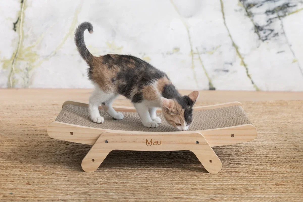 Modern Cat Scratcher – Cardboard Lounger with Replaceable Scratch Pad